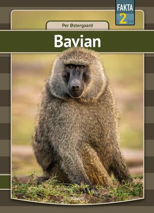 Bavian