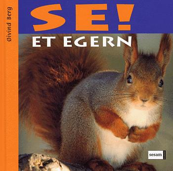 Se! Et egern