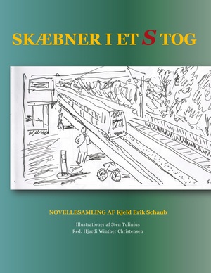 Skæbner i et S-tog : novellesamling