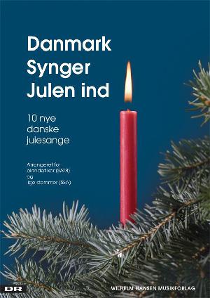 Danmark synger julen ind : 10 nye danske julesange : becifret melodilinje med underlagt tekst
