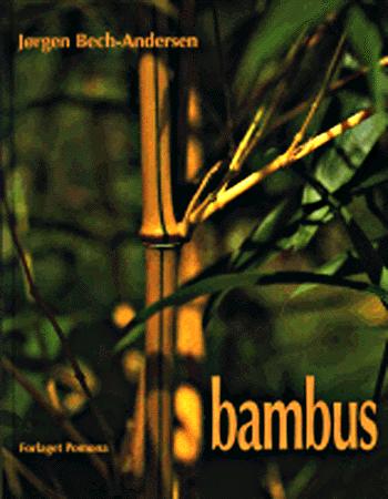 Bambus : dyrkning af nye bambusarter i Danmark