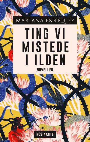 Ting vi mistede i ilden : noveller