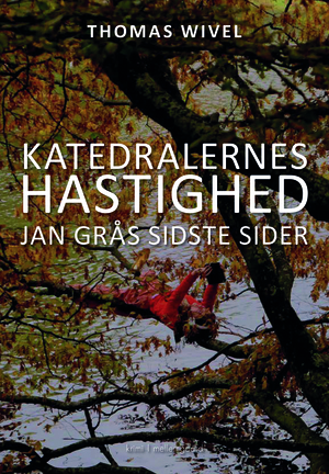 Katedralernes hastighed : Jan Grås sidste sider