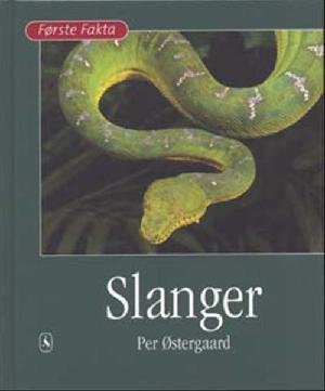 Slanger