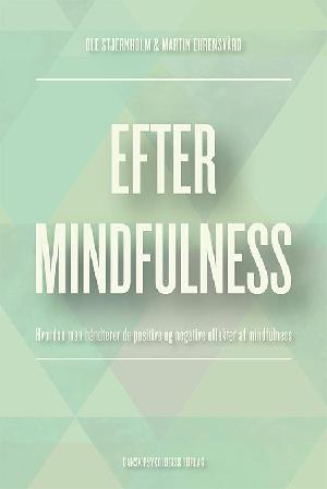 Efter mindfulness : hvordan man håndterer de positive og negative effekter af mindfulness