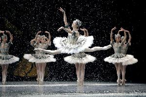 La danse : le Ballet de l'Opéra de Paris