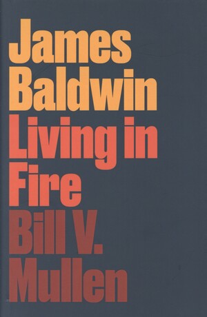 James Baldwin : living in fire