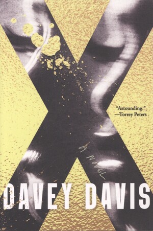 X : a novel