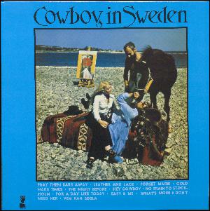 Cowboy in Sweden