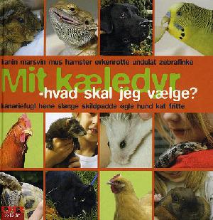 Mit kæledyr - hvad skal jeg vælge?