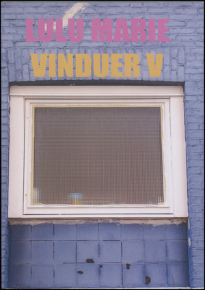 Vinduer. Bind 5 : Amager, Frederiksberg, Nørrebro, London, Odense, Rom, Roskilde, Østerbro