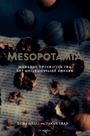Mesopotamia : moderne opskrifter fra det mellemøstlige køkken