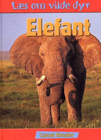 Elefant