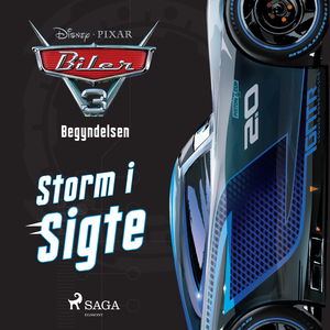 Storm i sigte