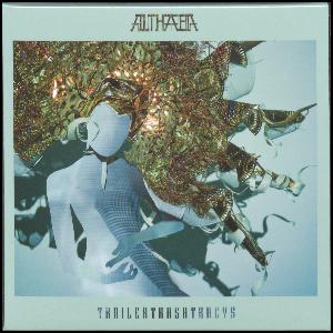 Althaea