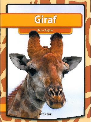 Giraf