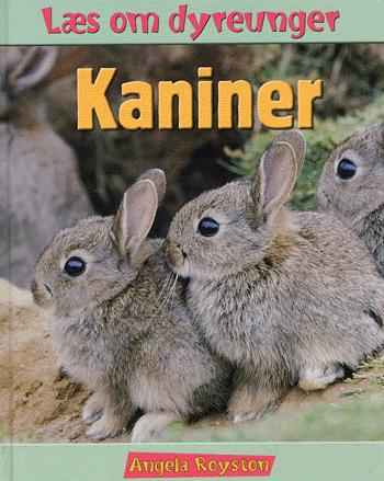 Kaniner