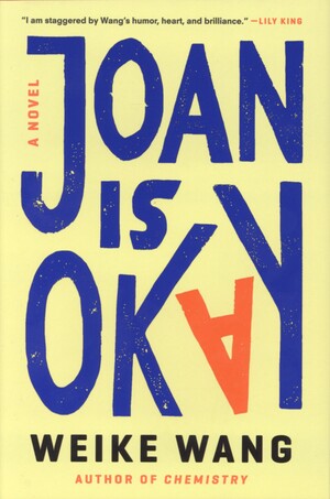 Joan is okay : a novel