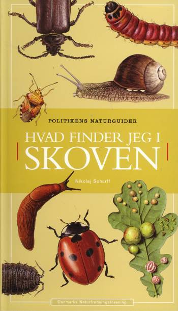 Hvad finder jeg i skoven