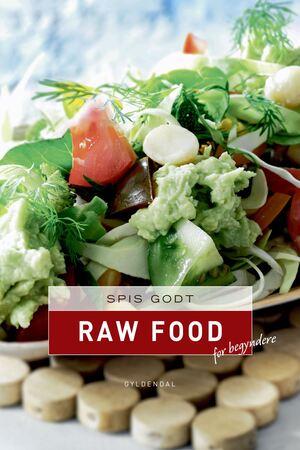 Spis godt - raw food for begyndere