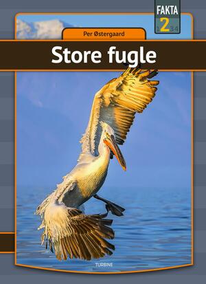 Store fugle