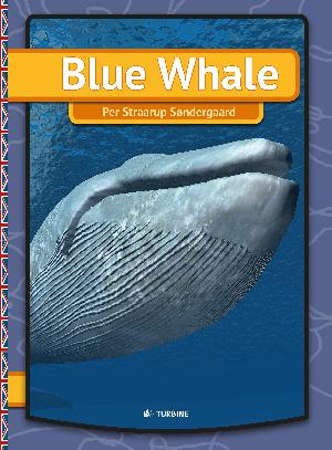 Blue Whale