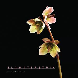 Blomsterstrik