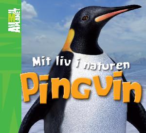 Pingvin