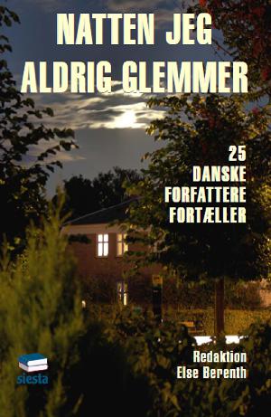 Natten jeg aldrig glemmer : 25 danske forfattere fortæller