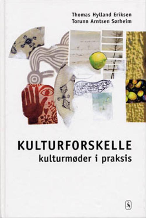 Kulturforskelle : kulturmøder i praksis