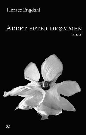 Arret efter drømmen : essay