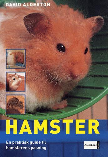 Hamster