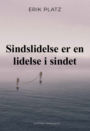 Sindslidelse er en lidelse i sindet