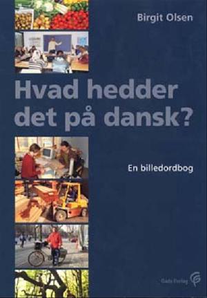 Hvad hedder det på dansk? : en billedordbog