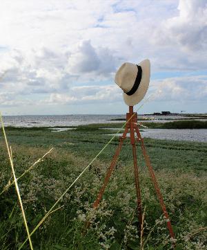 Theodor Philipsens Saltholm : en tidsrejse