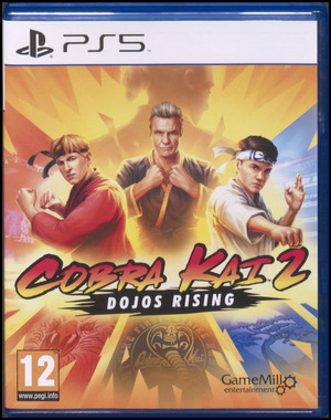 Cobra Kai 2 - dojos rising