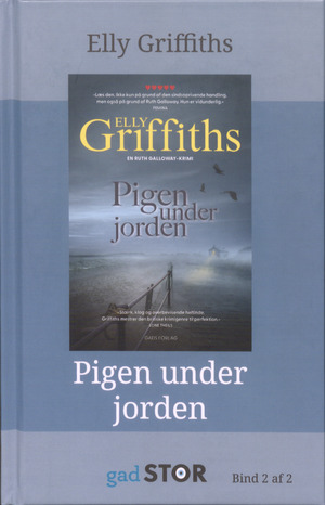 Pigen under jorden. Bind 2