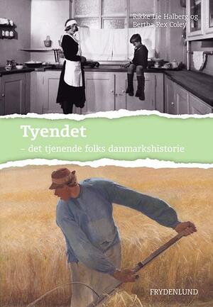 Tyendet : det tjenende folks danmarkshistorie