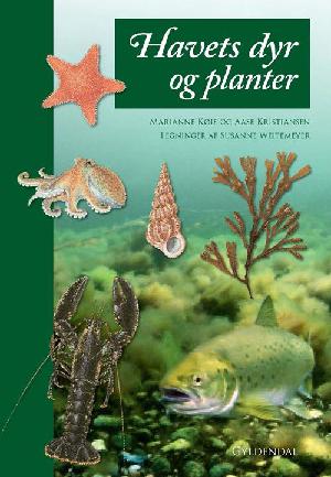 Havets dyr og planter