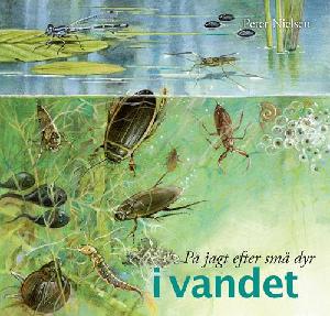 På jagt efter små dyr i vandet