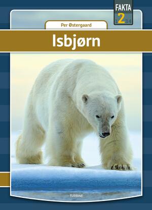 Isbjørn