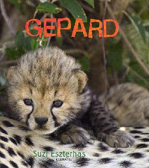 Gepard