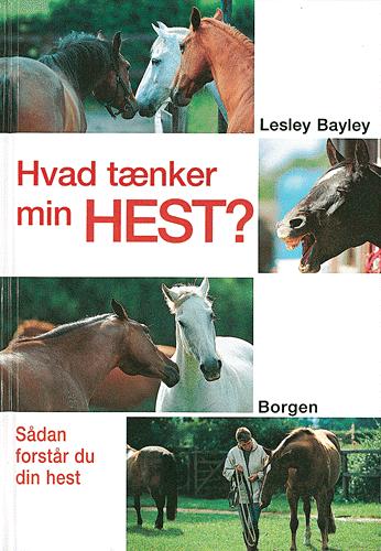 Hvad tænker min hest? : sådan forstår du din hest