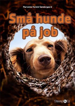 Små hunde på job