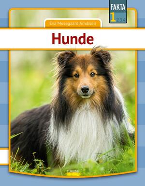 Hunde