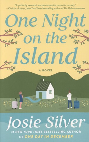 One night on the island : a novel