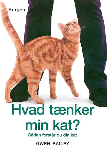 Hvad tænker min kat? : sådan forstår du din kat