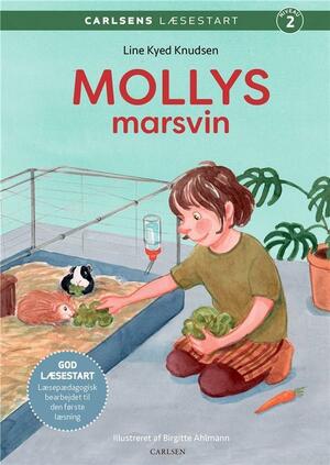Mollys marsvin