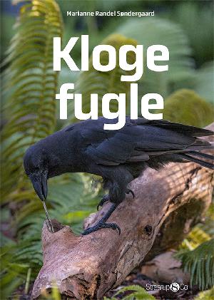 Kloge fugle