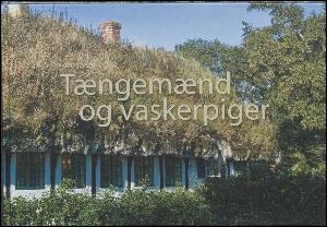 Tængemænd og vaskepiger